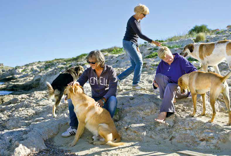 I cani di Lampedusa: Il cuore ha 4 zampe Onlus