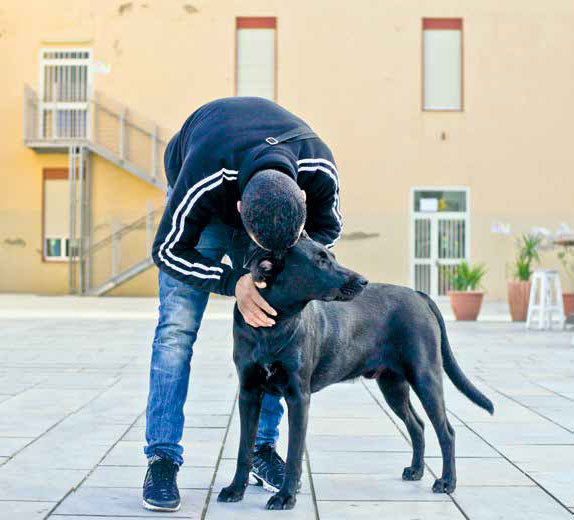 I cani di Lampedusa: Il cuore ha 4 zampe Onlus