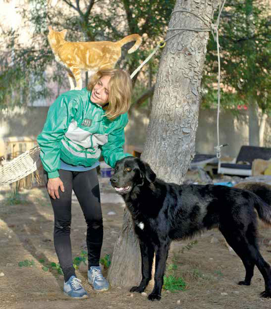 I cani di Lampedusa: Il cuore ha 4 zampe Onlus