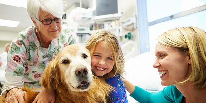 I cani per la Pet Therapy si divertono: le ultime ricerche