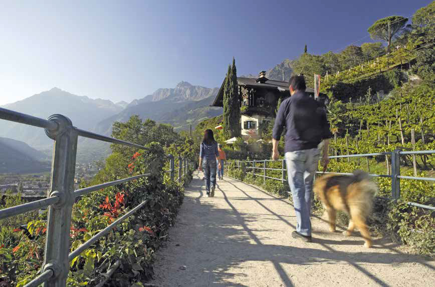 Merano: meta per i viaggi con gli animali