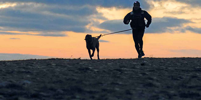 Canicross: le razze di cane più predisposte