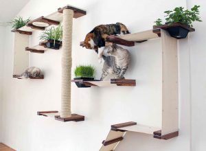 Arredamento per cani e gatti senza rinunciare al design