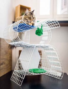Arredamento per cani e gatti senza rinunciare al design