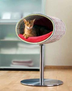 Arredamento per cani e gatti senza rinunciare al design