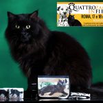 Omar, il gatto nero che fa beneficenza