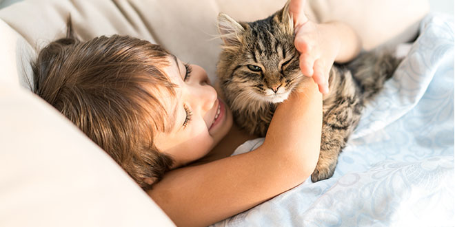 Un gatto può aiutare un bambino autistico: lo studio