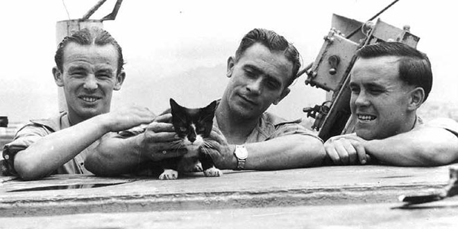 Il gatto Simon, eroe che salvò i marinai inglesi