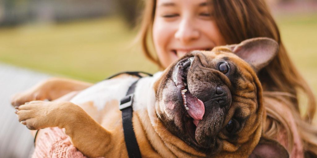 Microchip per il cane: vantaggi e informazioni utili