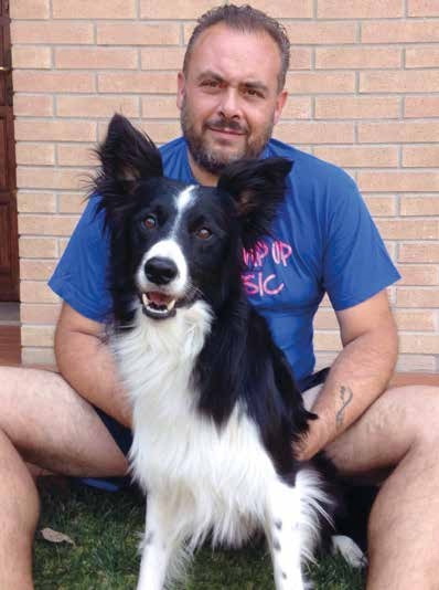 istruttore, agility, border collie, cane, educazione