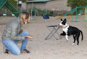 claudia fugazza cani cuccioli