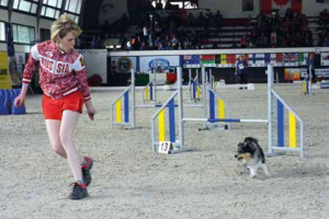 world agility championship