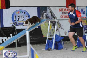 world agility championship