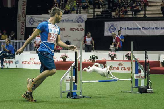 alberto marmo agility gara campionato educazione addestramento