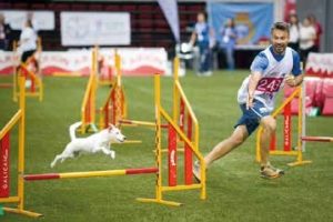 alberto marmo agility gara campionato educazione addestramento