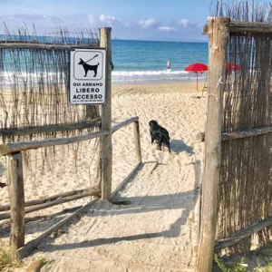 viaggi pet-friendly scarlino