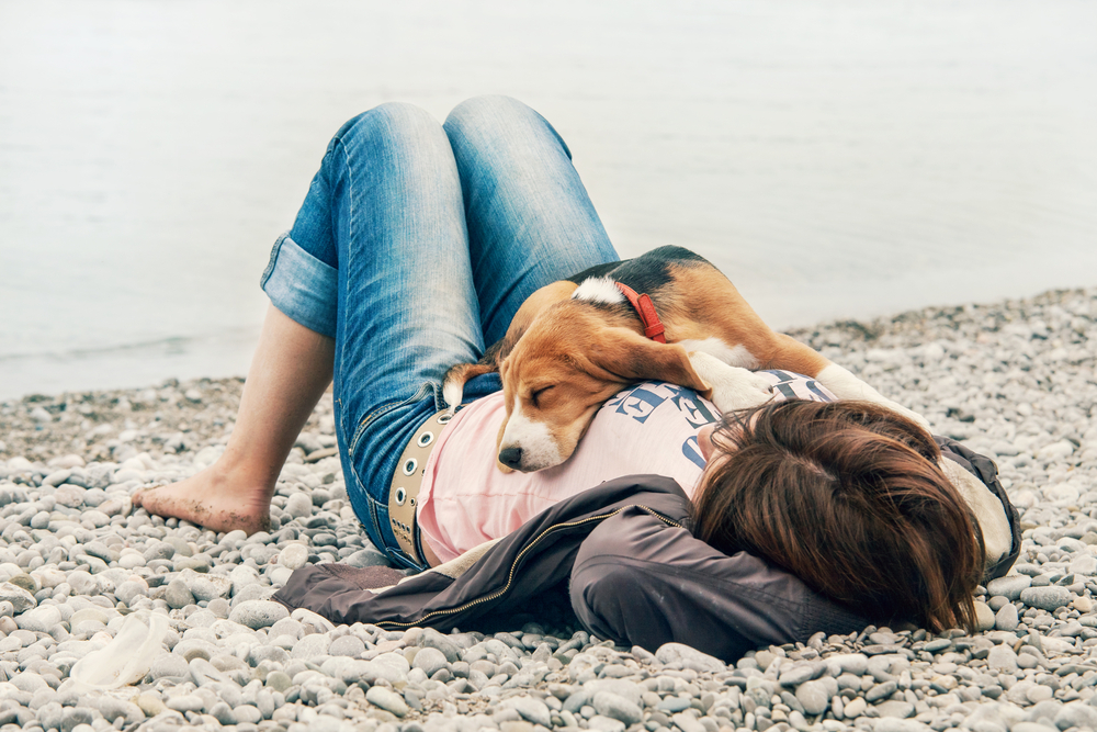 Intervento alla mammella nel cane, con o senza sterilizzazione?