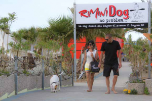 spiagge cani spiaggia