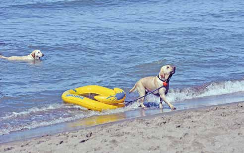 spiaggia