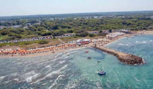 spiagge cani spiaggia