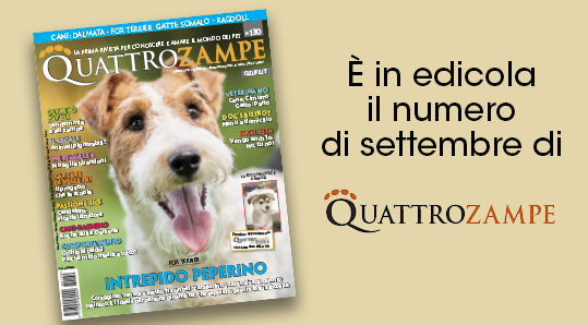 editoriale