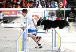 world agility championship