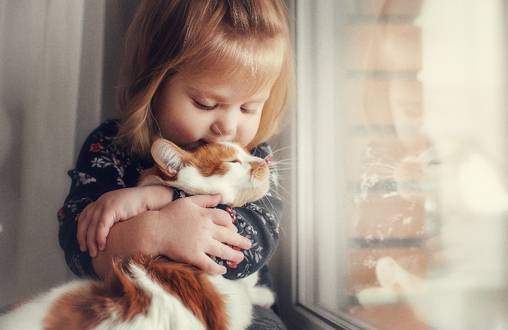 Gatti e bambini: fantastici compagni di vita