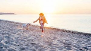 vacanza con il cane