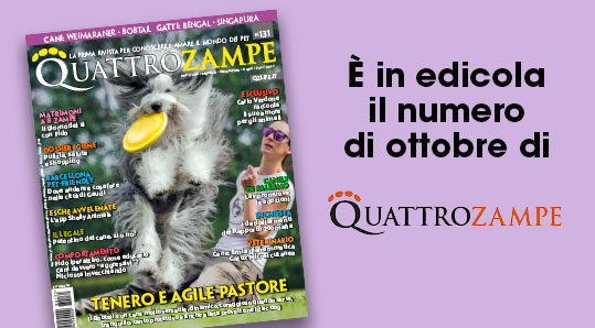 editoriale