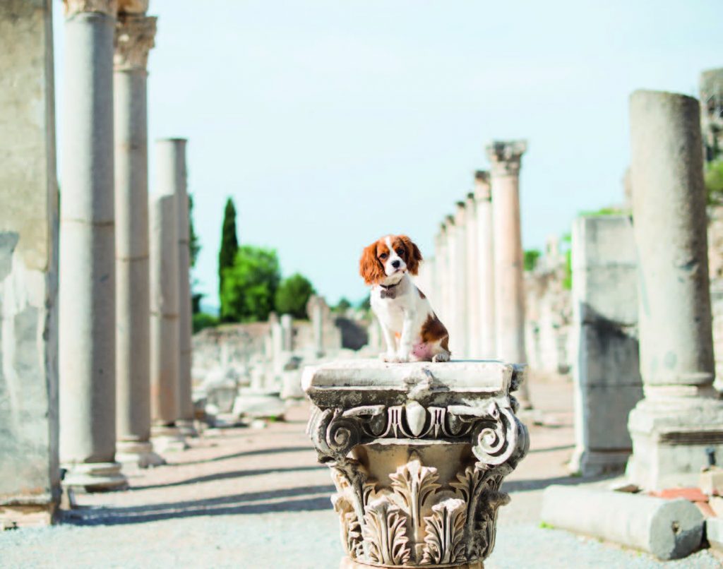 divieto d'ingresso