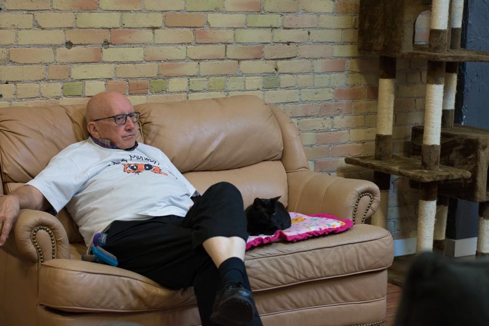 Sai chi è "Cat Grandpa"? Terry Lauerman, il volontario amato dal web.