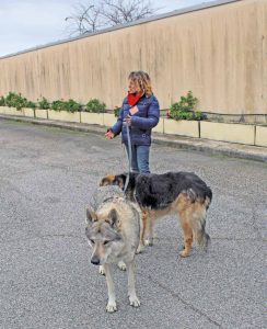 carcere di velletri