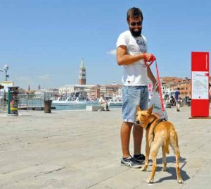 venezia pet friendly