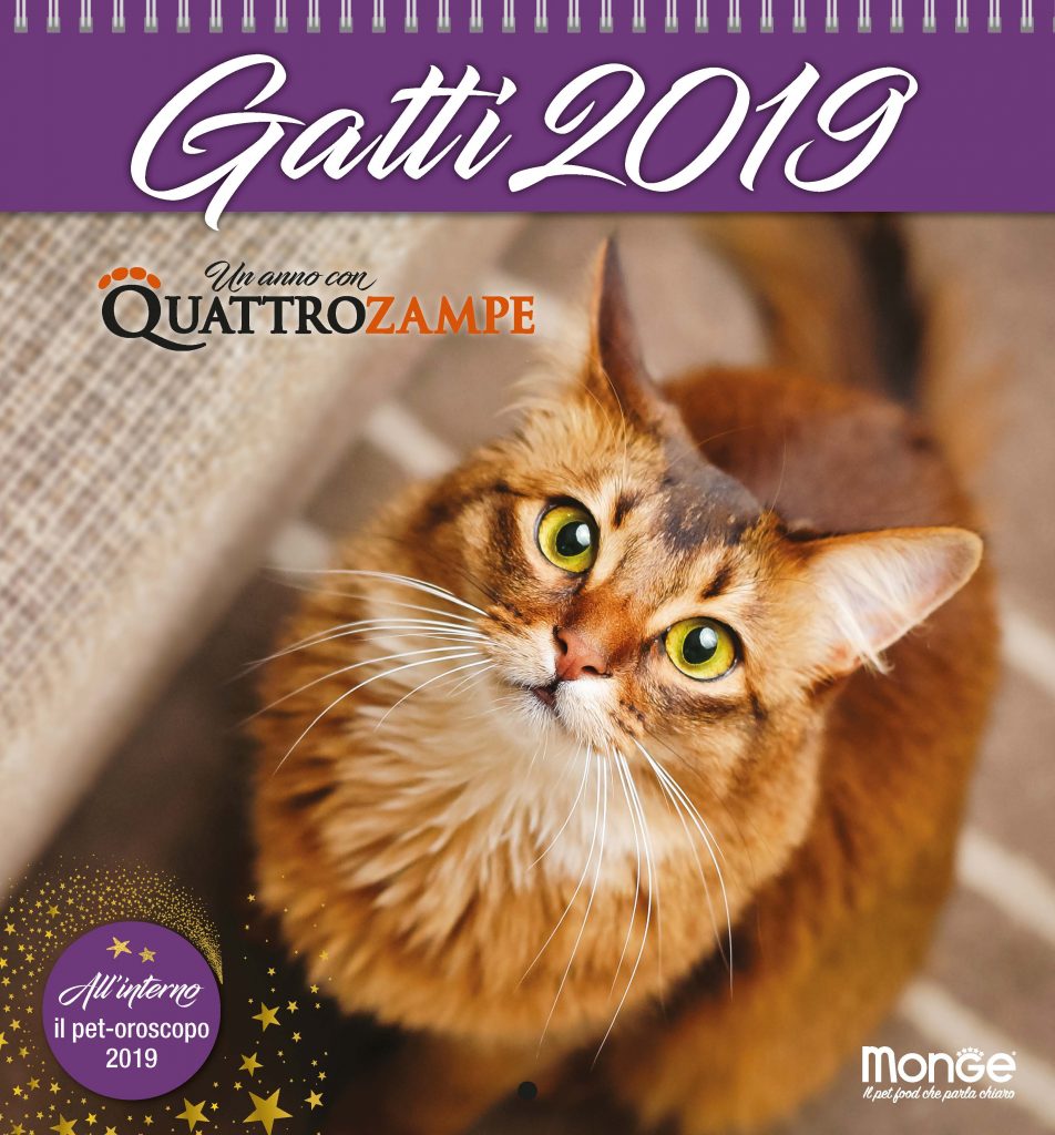Calendario Da Tavolo Gatti & Relax QuattroZampe Monge Anno 2021 14 Mesi 