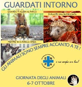 giornata degli animali