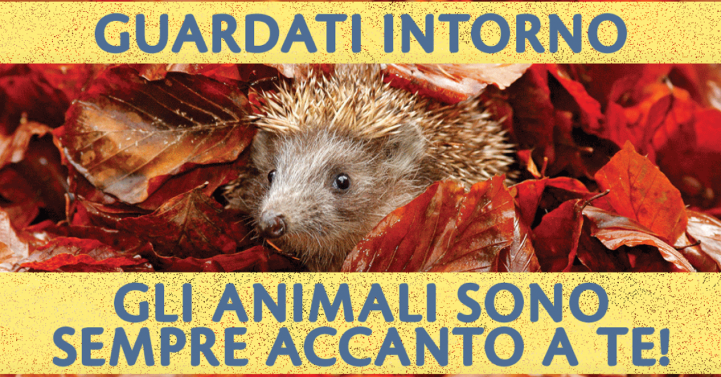 Festeggia la Giornata degli Animali, sabato 6 e domenica 7 ottobre 2018