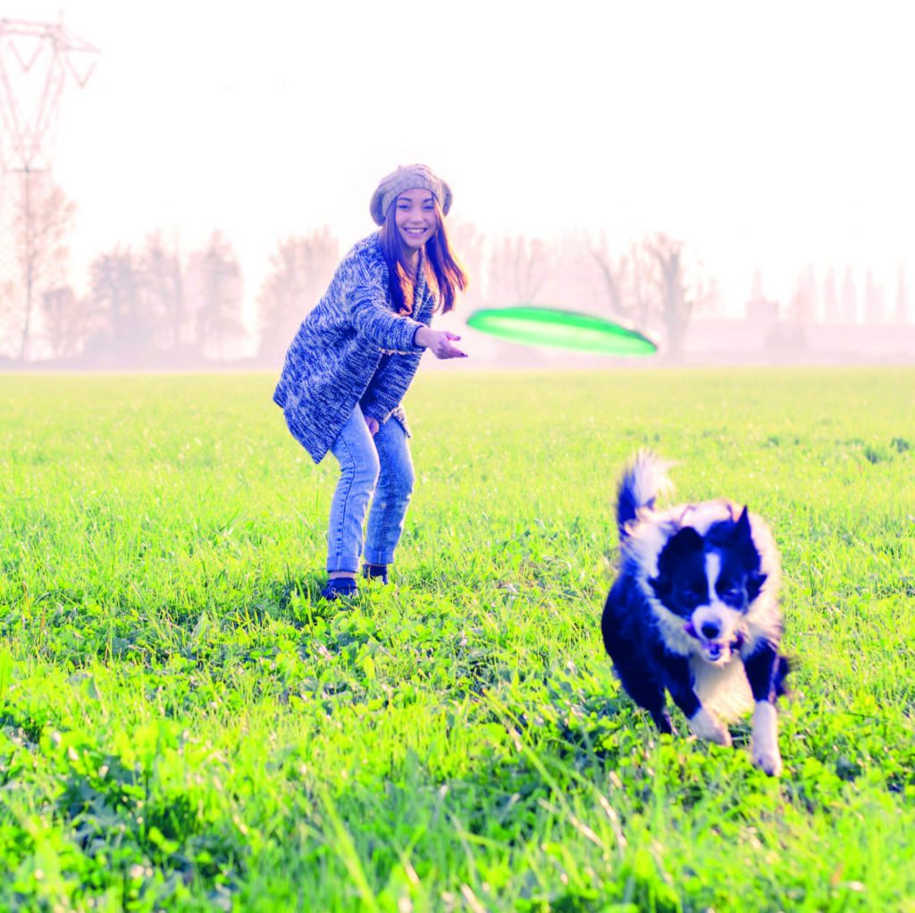 Come si sviluppa il comportamento del cane? Lo dice la sua vita quotidiana