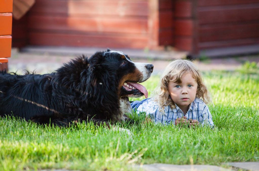 Livigno: la convivenza tra sei cani e un bambino finisce nella sporcizia