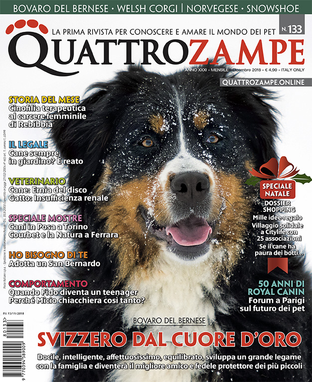 È in edicola il numero di dicembre 2018 di Quattrozampe