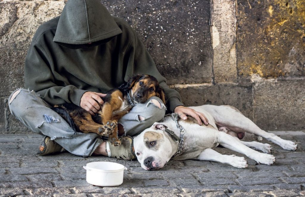 Accattonaggio con animali: divieti e maltrattamenti