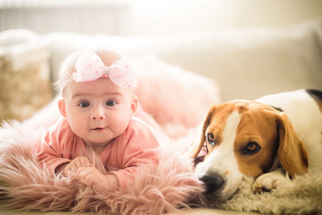 Cani adatti ai bambini, scopri quali nella Giornata Universale del Bambino