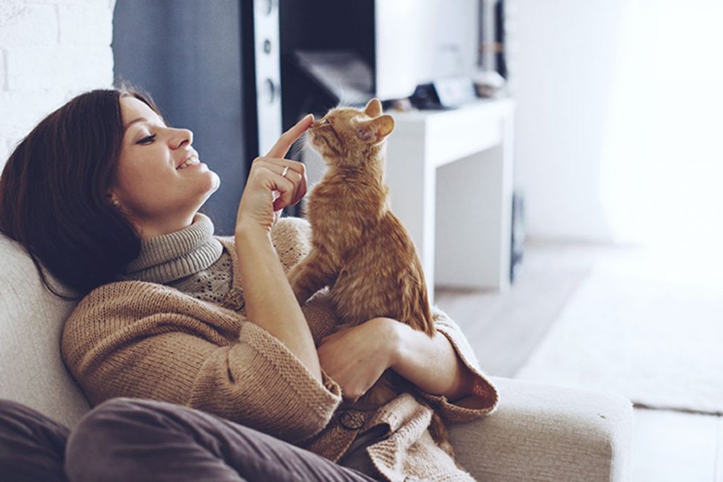 Cani e gatti: proteggiamoli! È il più bel gesto d’amore