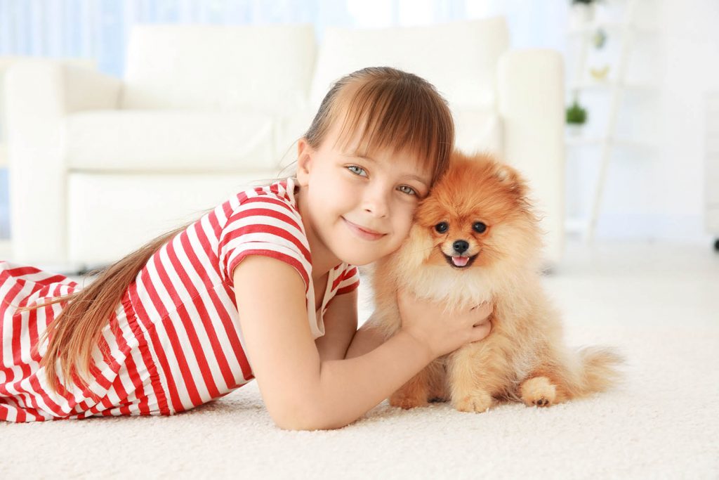 Hai un piccolo cane? Scegli un grande cibo!