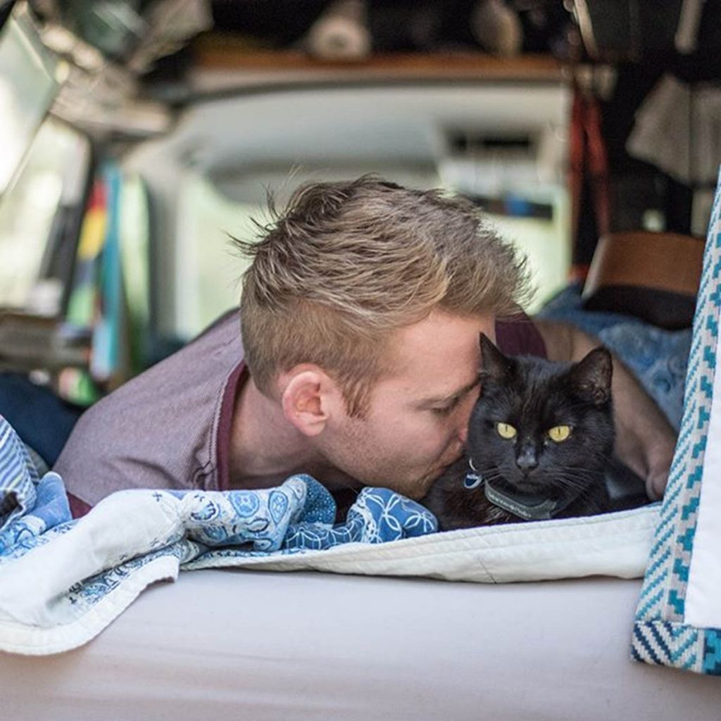 Van Cat Meow, storia di Willow il gatto viaggiatore