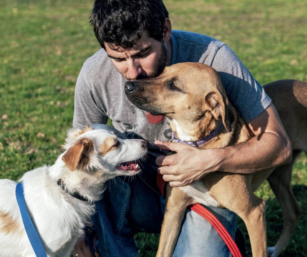 Patentino del cane, sì o no? Diritti e doveri dei proprietari di cani impegnativi e non