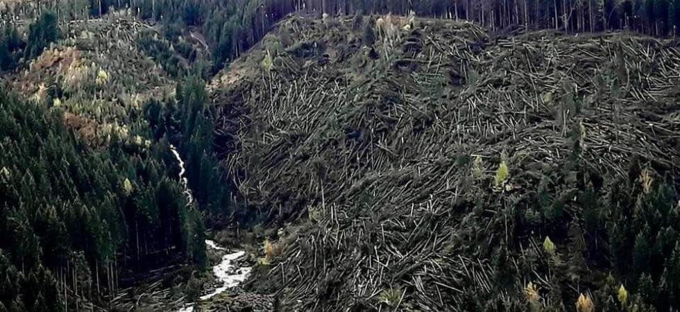 Giornata Internazionale della Montagna, un evento che dà voce anche agli animali