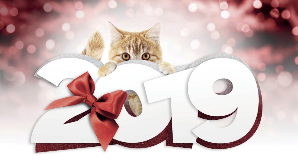 Pet Oroscopo 2019, sarà l’anno dei segni di fuoco