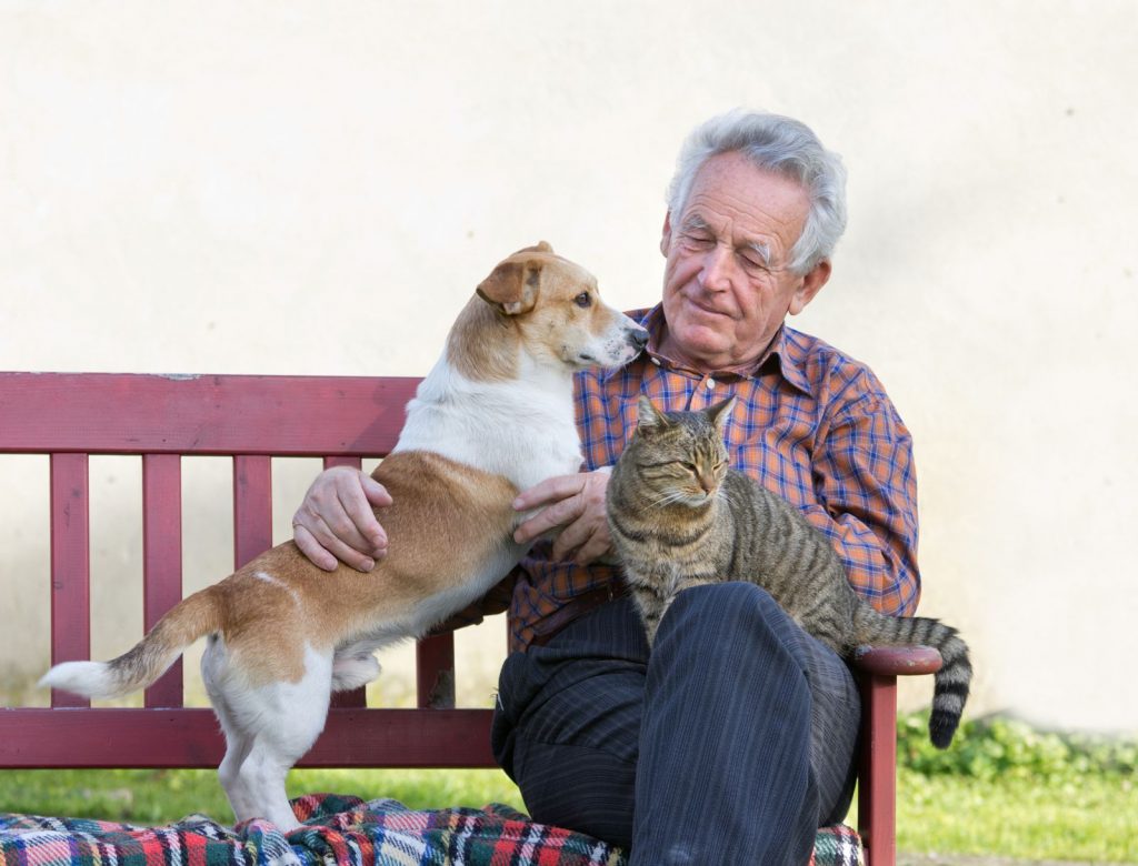 Cure veterinarie gratis se il padrone è indigente o adotta il pet