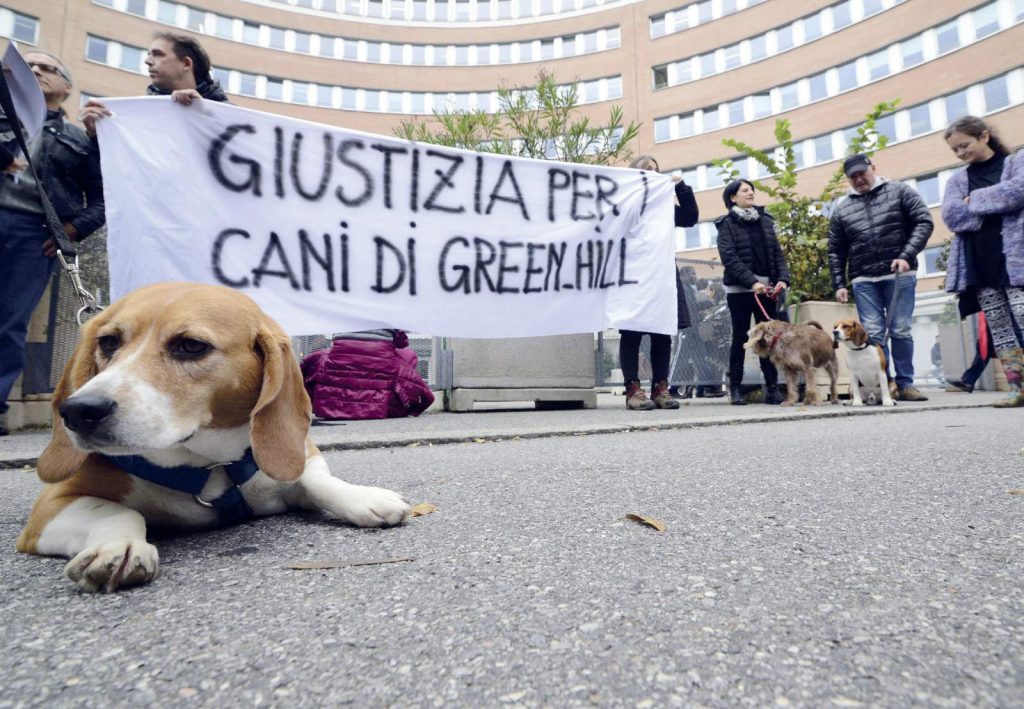 LAV: 365 giorni “Dalla parte degli Animali”