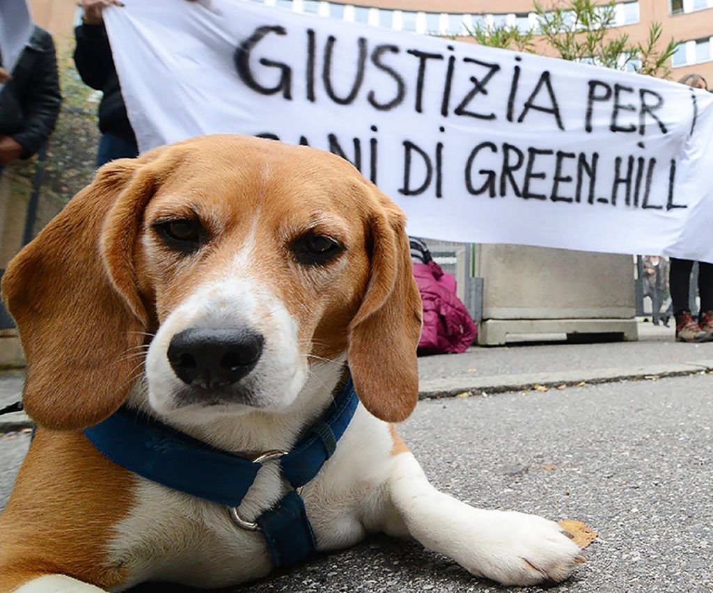 LAV: 365 giorni “Dalla parte degli Animali”